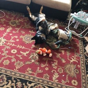 Meet your Posher, Tarae